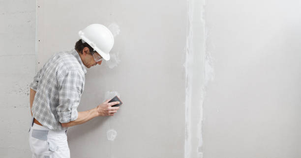 Best HVAC Mold Inspection and Cleaning  in Rush City, MN