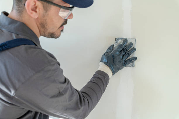 Best Mold Remediation for Healthcare Facilities  in Rush City, MN