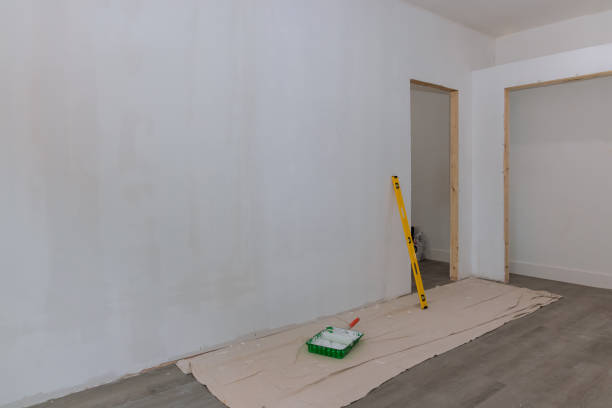 Best Commercial Mold Inspection  in Rush City, MN
