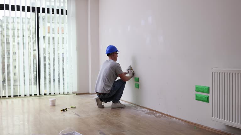 Best Basement Mold Removal  in Rush City, MN