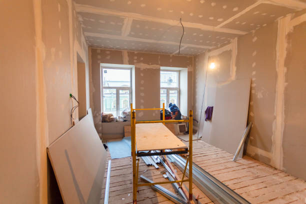 Best Mold Documentation for Insurance Claims  in Rush City, MN